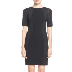 Ted Baker  London , black dress🎊 Sale🎊